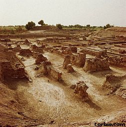 Ruins of ancient city of Harrapa